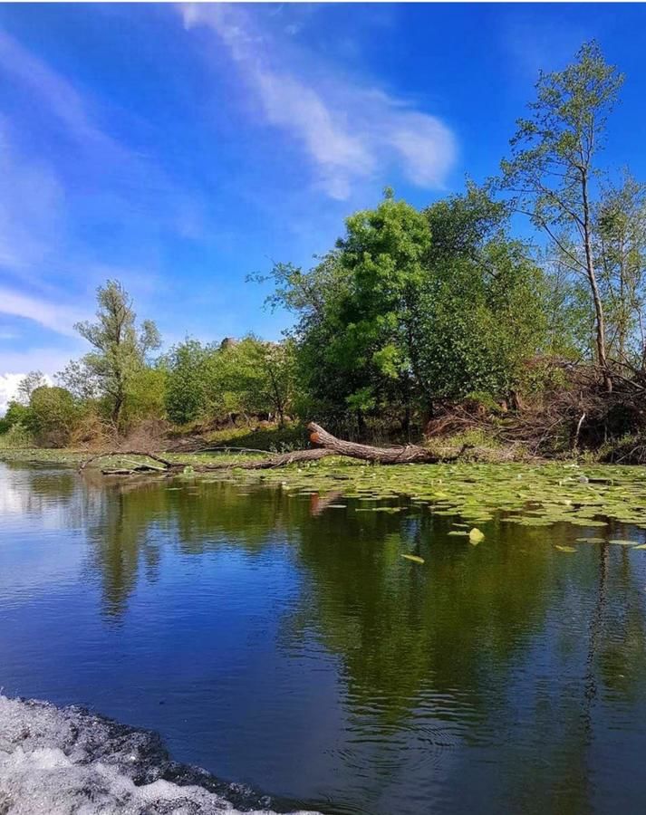 Дома для отпуска Guest house Milena Цетине