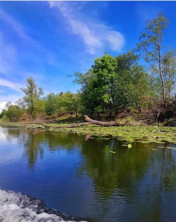 Дома для отпуска Guest house Milena Цетине