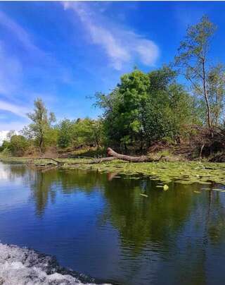Дома для отпуска Guest house Milena Цетине Дом с 1 спальней-14