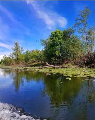 Дома для отпуска Guest house Milena Цетине Дом с 1 спальней-20