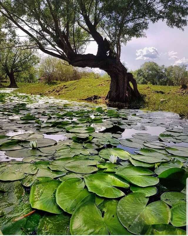 Дома для отпуска Guest house Milena Цетине-17